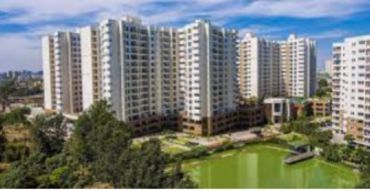 SNN Serenity Garden