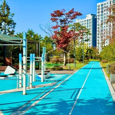 The Woodland Forest – Fully equipped gymnasium